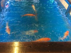 -Play1家庭娱乐中心(包河大玩家店)