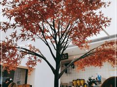 -艾薯夫妇Aysh(福田星河COCOPark店)