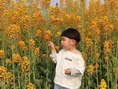 -中国天府农业博览园