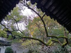 -西园戒幢律寺