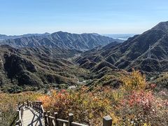 -大岭沟猕猴桃谷风景区