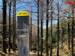 -四明山国家森林公园