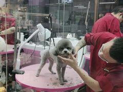 -FAELING PETS美天灵宠物(富力广场店)