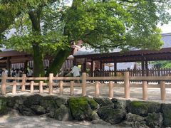 -热田神宫