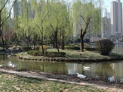 -木塔寺遗址生态公园