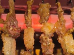 -邢氏老太太烤串(北兴街店)