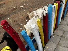 -西部长青自然儿童乐园