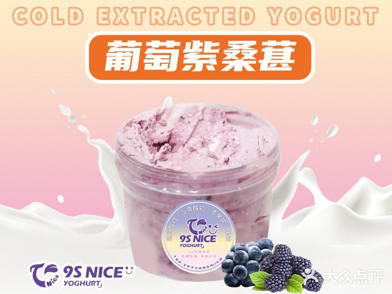 9S NICE | 冷萃酸奶真是让我挖到宝啦