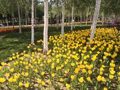 -长春公园(普阳街道)