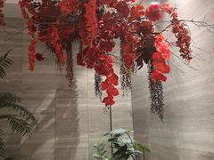 -唐宫足道·SPA·住宿24H会所(木渎店)