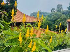 -南沙天后宫景区