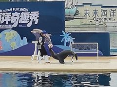 -秦皇岛乐岛海洋王国