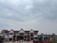 -上海都市菜园