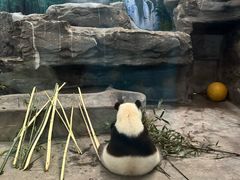 -鄂尔多斯野生动物园