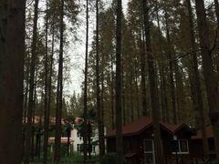 -上海怡沁园度假酒店