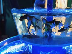 -佬麻雀·剁椒鱼头(京基KK One店)