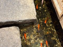 -邈墨茶馆(凤起路店)