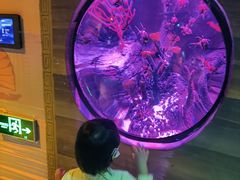 -沈阳海洋探索中心