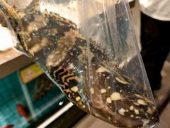 -港澳德兴火锅海鲜酒家(殷皇子店)