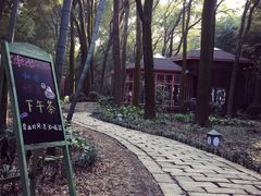 -同里国家湿地公园
