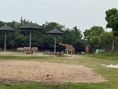-宁波野生动物园