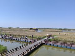 -宁波杭州湾国家湿地公园