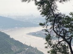 -铁山坪森林公园