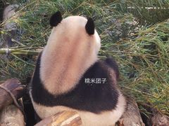 -杭州动物园