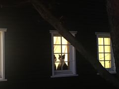 -三鹰之森吉卜力美术馆