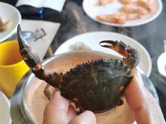 -海草馆自助餐厅(悦海店)
