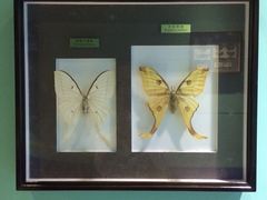 -上海昆虫博物馆