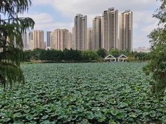 -武汉动物园