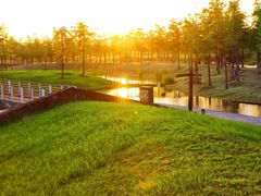 -春花秋色城市公园