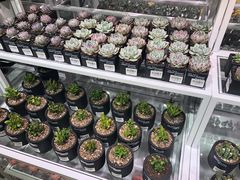 -KKV(重庆东原悦荟主力店)