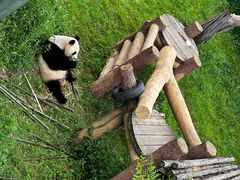 -沈阳森林动物园