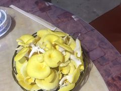 -仙蘑洞