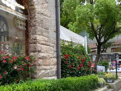 -Seesaw Coffee(上生新所店)