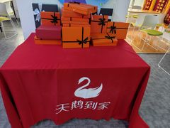 -天鹅到家·保姆月嫂育儿嫂(天河店)