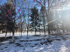 -长春世界雕塑园冰雪艺术天地