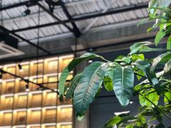 -GOTLOT COFFEE&KITCHEN角落厨房NOOK店