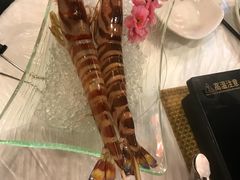 -鲜入围煮花胶鸡海鲜火锅