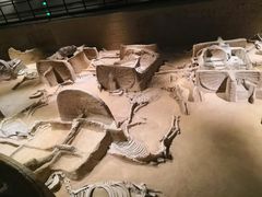 -洛阳周王城天子驾六博物馆