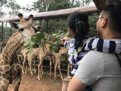 -海南热带野生动植物园