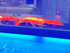 -舟山朱家尖威斯汀酒店·知味标帜自助餐厅