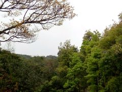android_upload_pic-广州市石门国家森林公园