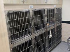 -安安宠医·安宠宠物医院