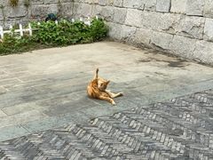 -上海月湖雕塑公园