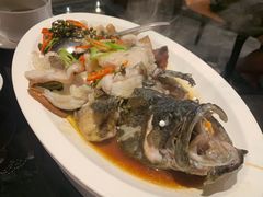 青花椒蒸龙胆鱼-闽和南(深圳万象城店)