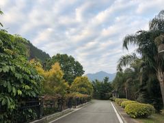 -福建鲤鱼洲酒店