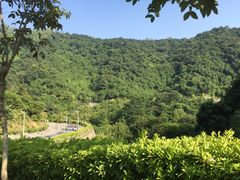 -火炉山森林公园
